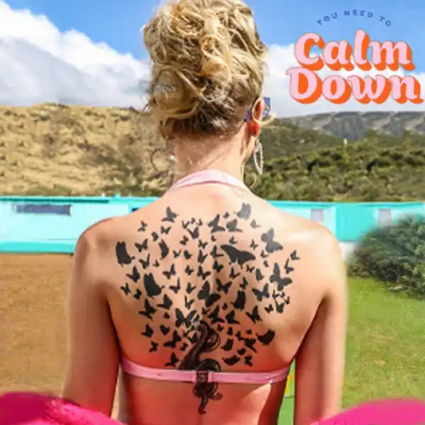 Taylor Swift - You Need To Calm Down